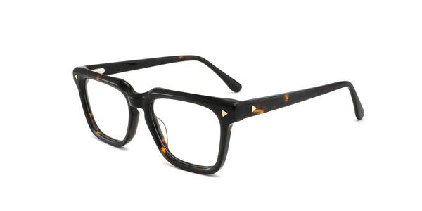 FG1401--Tortoise