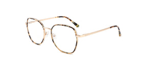 FG1109--Brown Tortoise