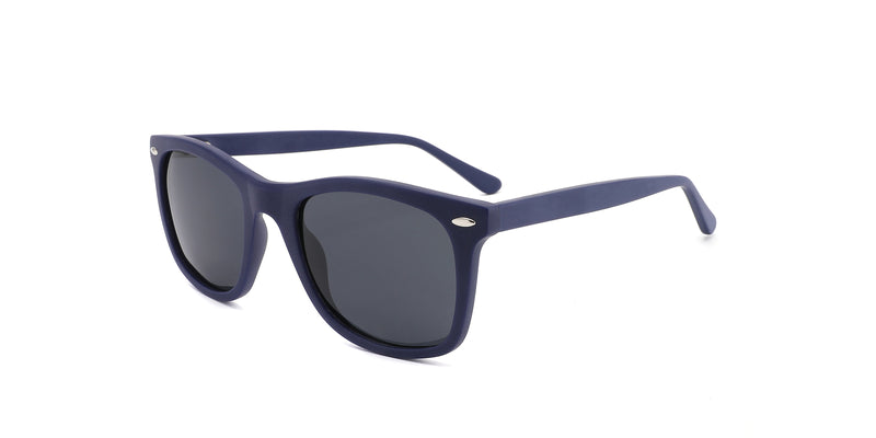 ZD8073--Blue