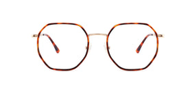 FG1101--Red Tortoise