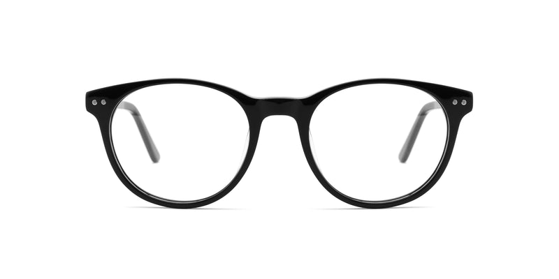 FG1041--Brown Tortoise
