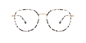 FG1102--Brown Tortoise