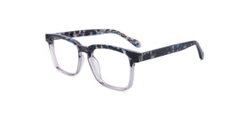 YDT1934--Blue Tortoise