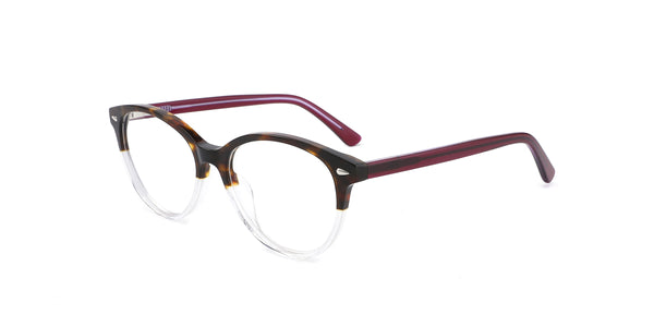 FG1196--Black Tortoise