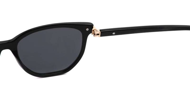 ZD8822T--Tortoise