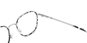 FG1104--Gray Tortoise