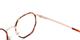 FG1101--Light Tortoise