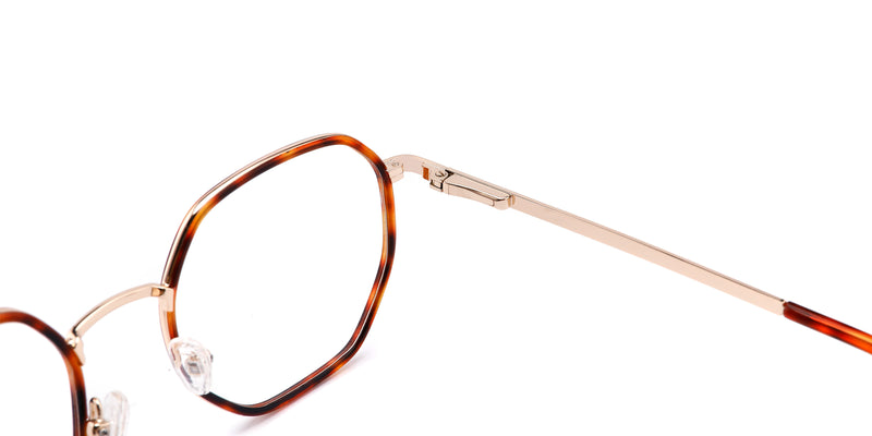 FG1101--Red Tortoise