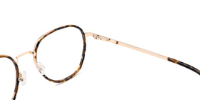 FG1106--Red Tortoise