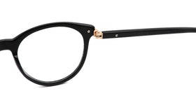 ZD8824--Brown Tortoise