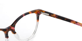 FG1192--Brown Tortoise