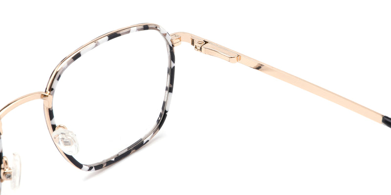 FG1108--Brown Tortoise