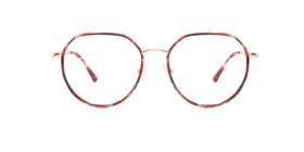 FG1110--Brown Tortoise