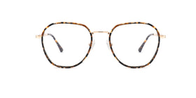 FG1106--Red Tortoise