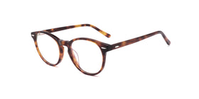 FG1040--Brown Tortoise