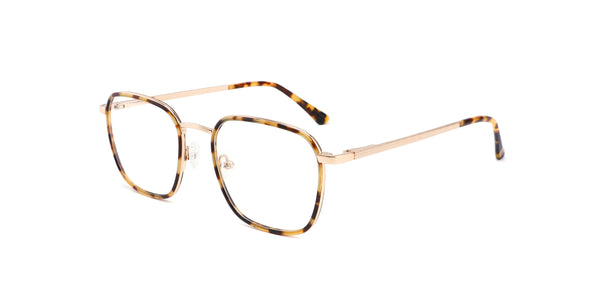 FG1108--Brown Tortoise