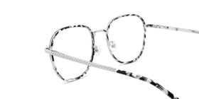 FG1104--Gray Tortoise