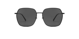 ZD8806T--Gold Tortoise