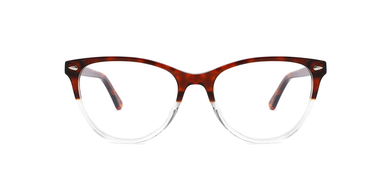 FG1198--Red Tortoise