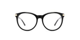 ZD8824--Brown Tortoise