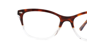 FG1199--Red Tortoise