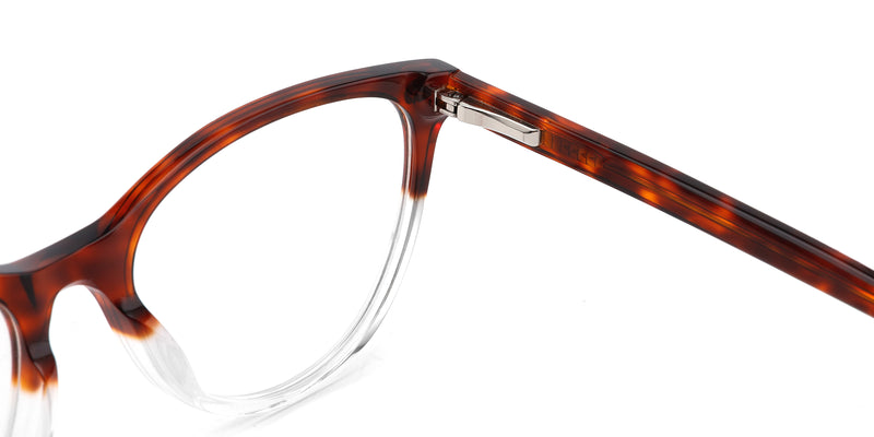 FG1198--Brown Tortoise