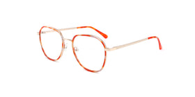 FG1106--Red Tortoise