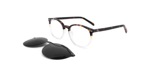 Esplanade Clip-On--Black Tortoise