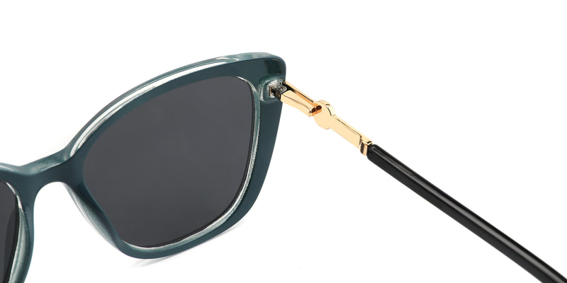 ZDTR1063T--Tortoise