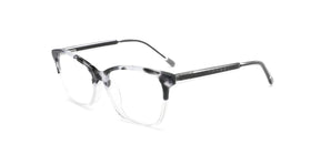 FG1353--Gray Tortoise