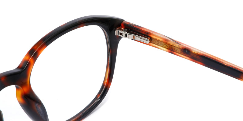 FG1004--Pink Tortoise