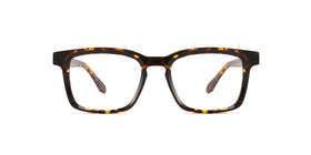 YDT1934--Brown Tortoise