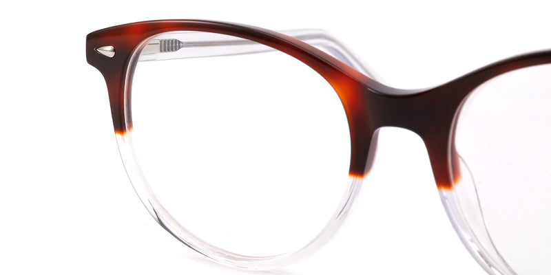 FG1197--Brown Tortoise
