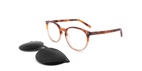 Esplanade Clip-On--Clear Tortoise