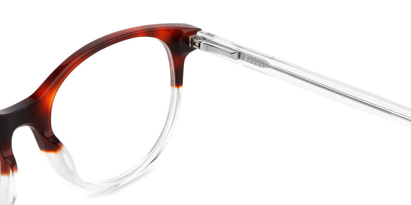 FG1197--Brown Tortoise