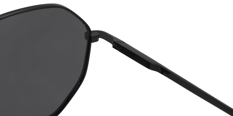 ZD8809T--Silver Tortoise