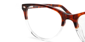 FG1198--Red Tortoise