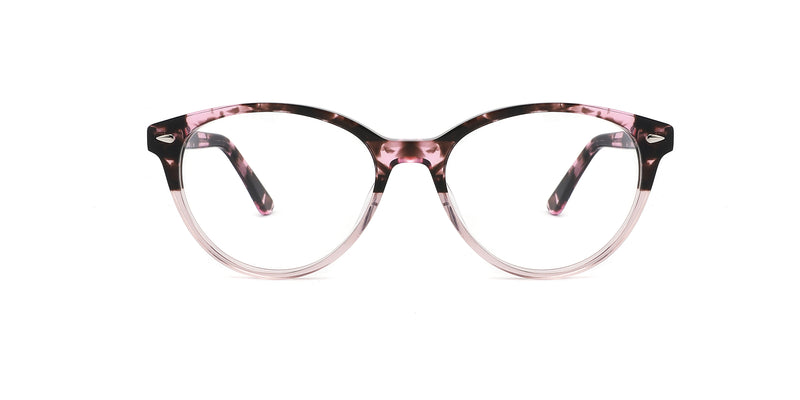 FG1196--Black Tortoise