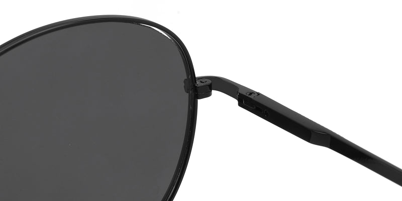 ZD8808T--Silver Tortoise