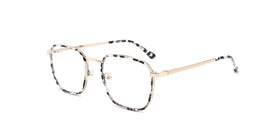 FG1108--Gray Tortoise