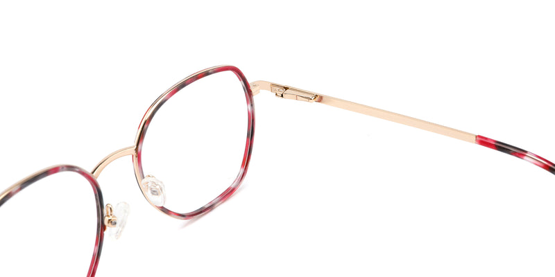 FG1109--Brown Tortoise