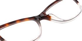 FG1199--Red Tortoise