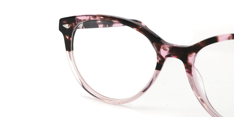 FG1196--Purple Tortoise