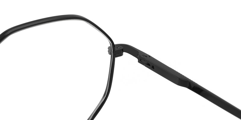 ZD8809--Silver Tortoise