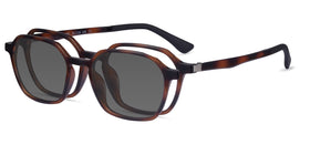 Paseo Clip-On--Tortoise