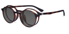 Hill Clip-On--Tortoise