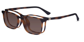 Parody Clip-On--Tortoise