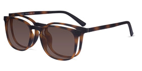 Stroll Clip-On--Tortoise