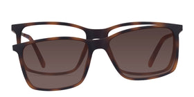 Vermont Clip-On--Tortoise