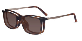 Vermont Clip-On--Tortoise